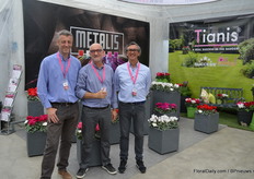 These gentlemen represented the cyclamen assortment of Morel Diffusion